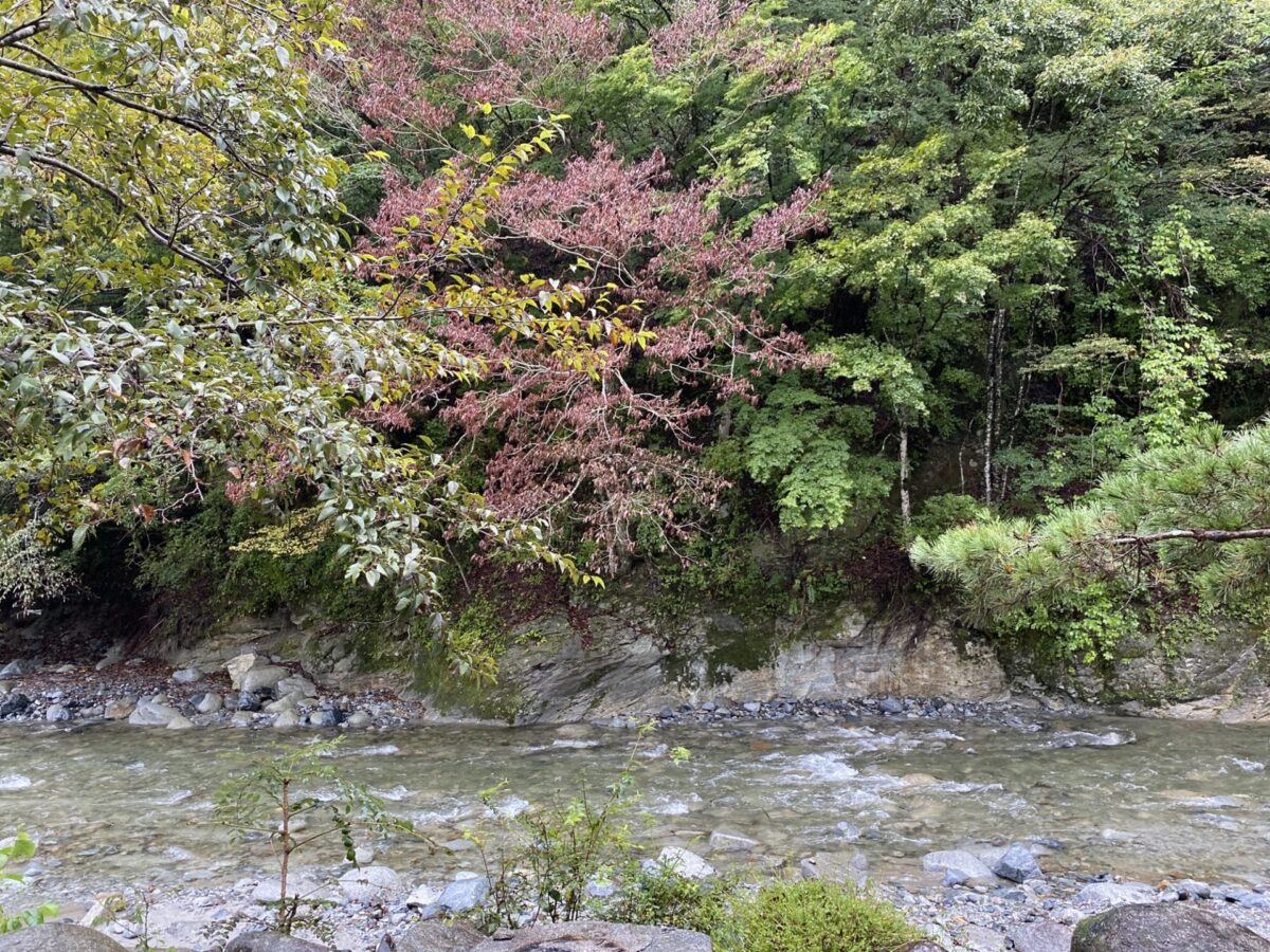 wellcamp_008