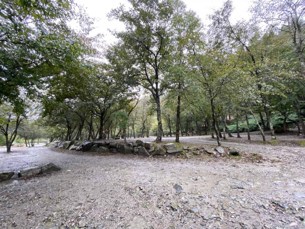 wellcamp_011