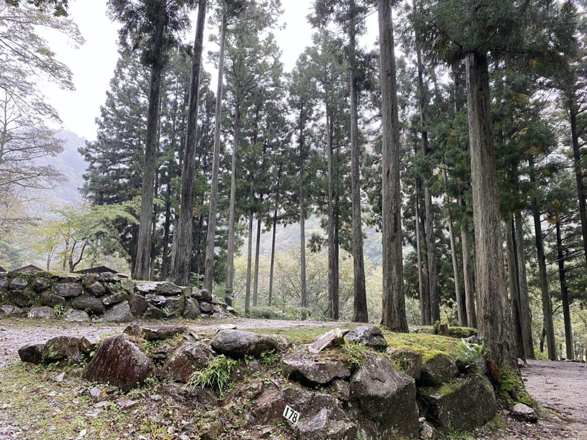 wellcamp_012