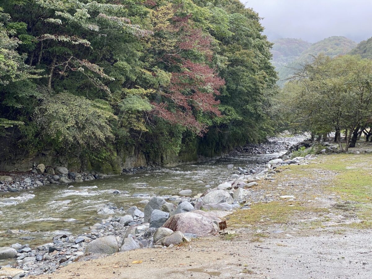 wellcamp_019