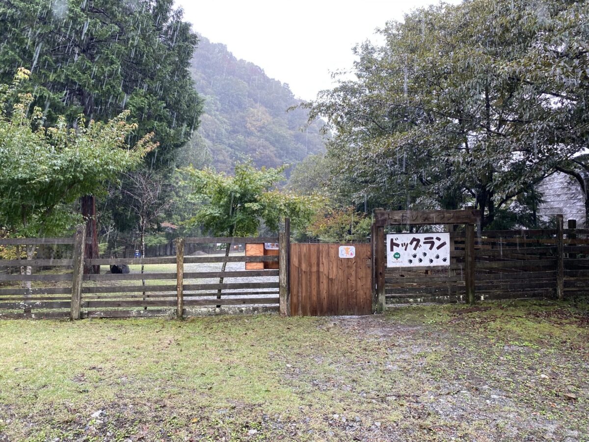 wellcamp_029