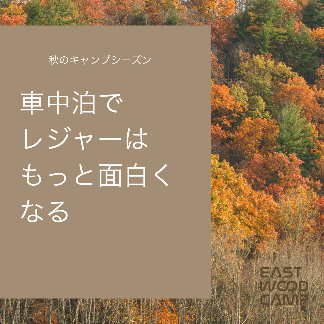 B49DEDD9-0FF8-4470-98C7-19D09827FA24