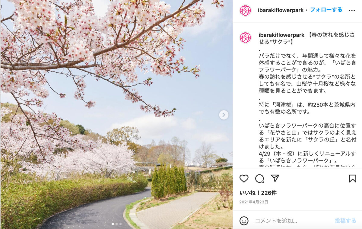 イバラキフラワーパーク