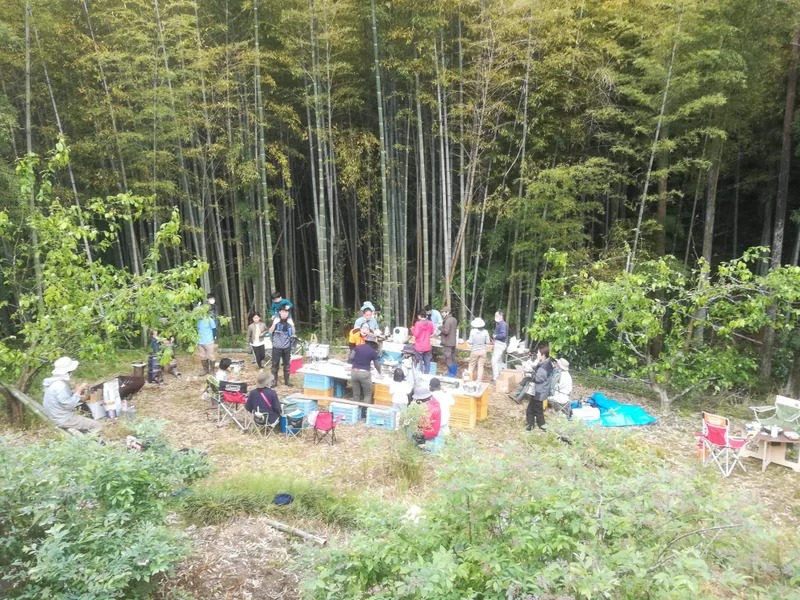 image12