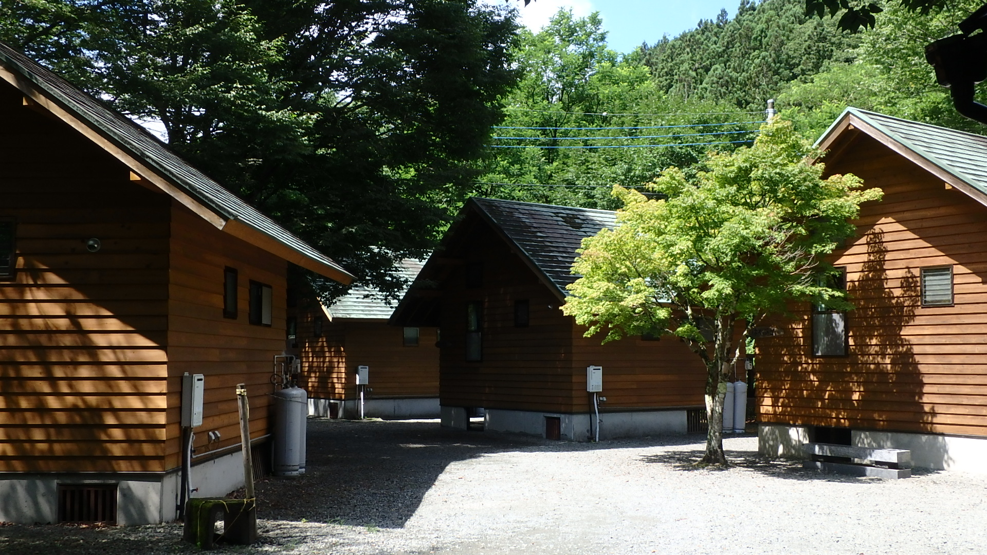 image12