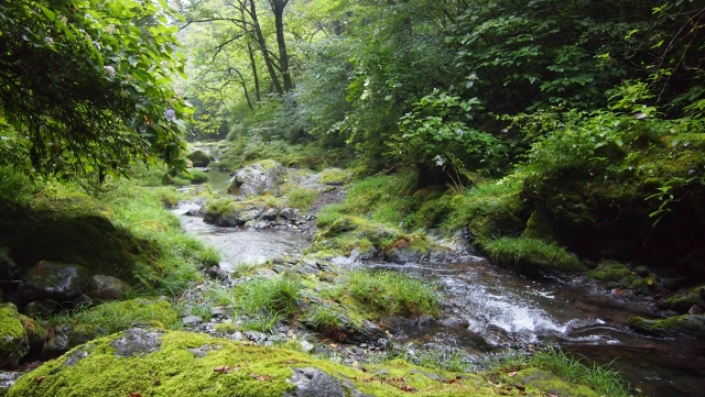 image5