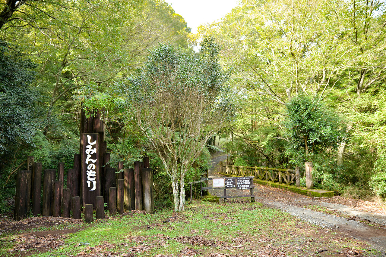 image6