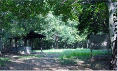 image12