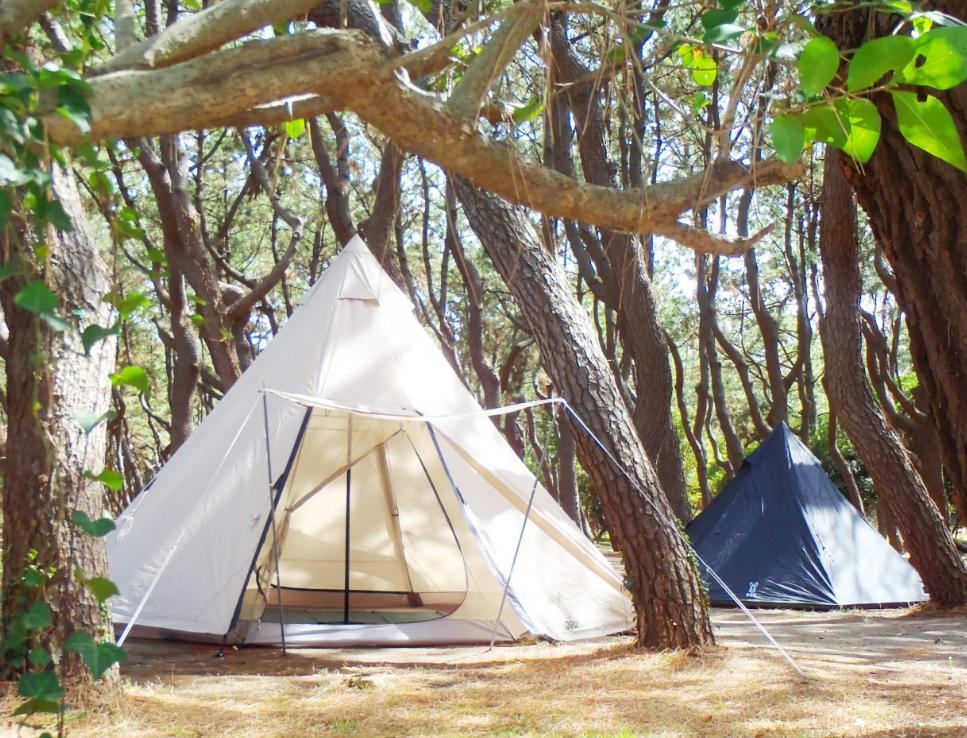 柳島キャンプ場