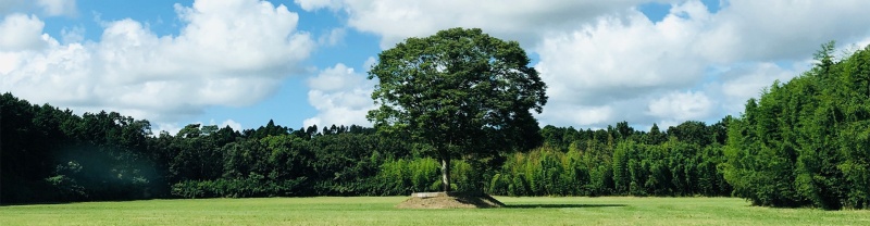 image22