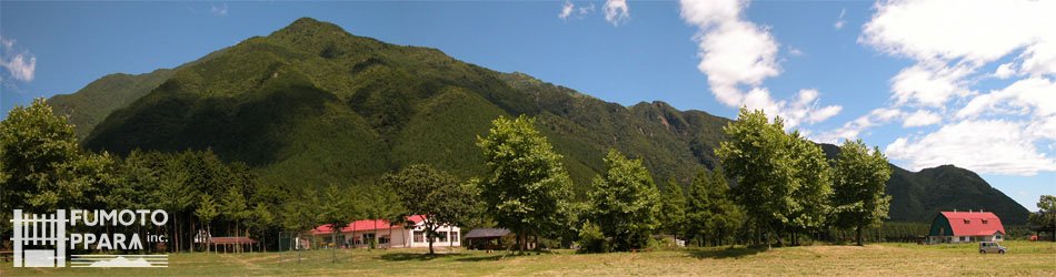 image22