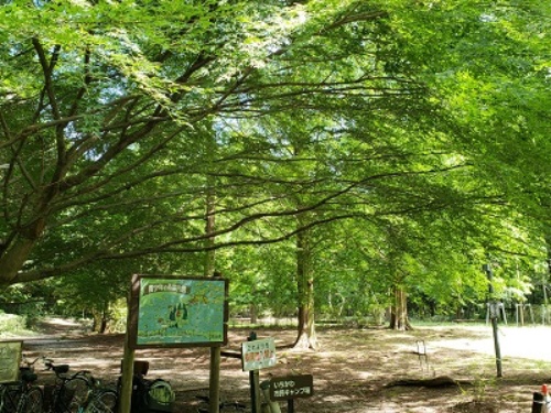 image4